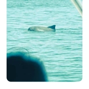 Ilha do Mel 360 Graus