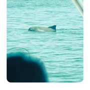 Ilha do Mel - Convencional